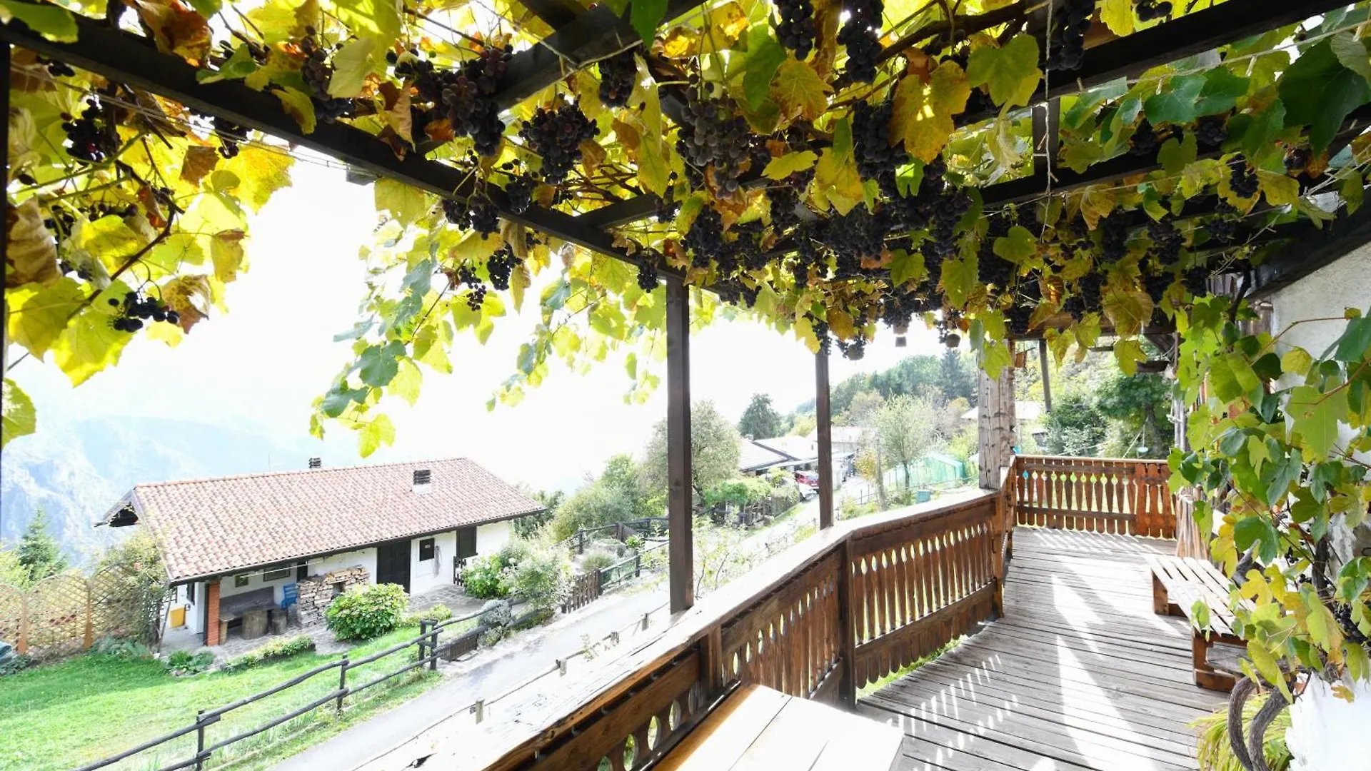 Chalet 